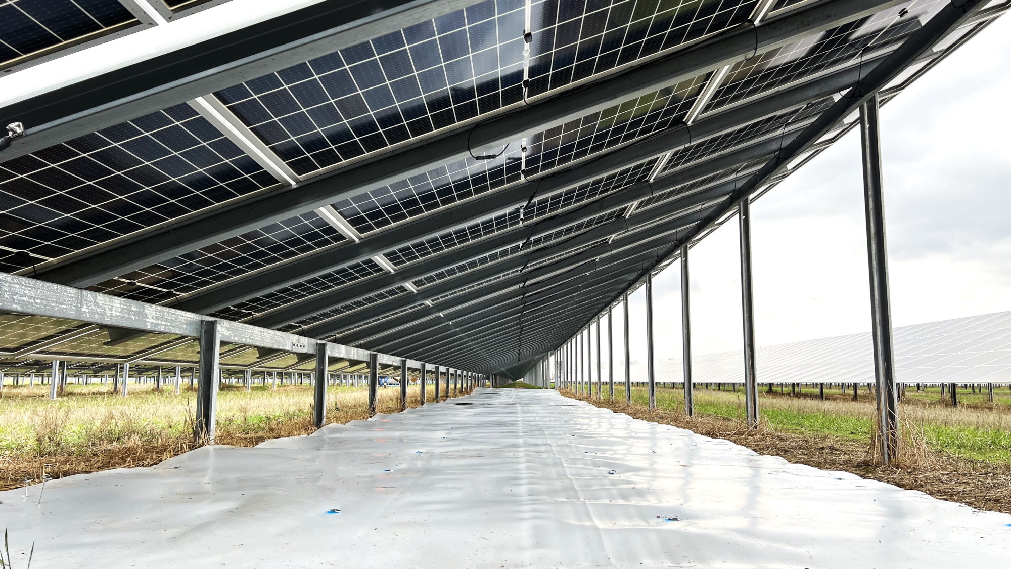 GEOLUX, the albedo-boosting geosynthetic developed by SOLMAX, is installed beneath bifacial modules to maximize the performance of the rear side by increasing ground reflectivity. Image: SOLMAX.
